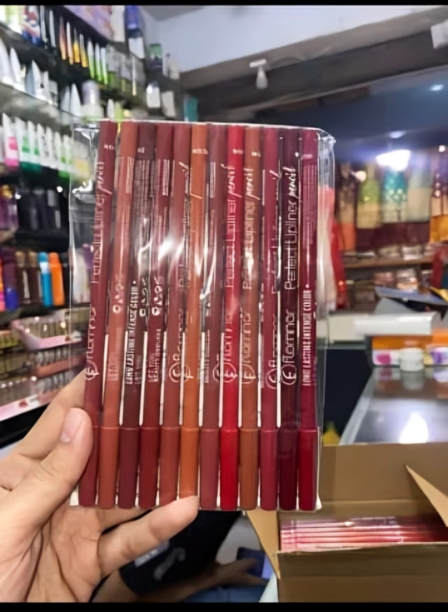 Flamnnor Long Lasting Lip Liner Pencil Set – 12 Pcs
