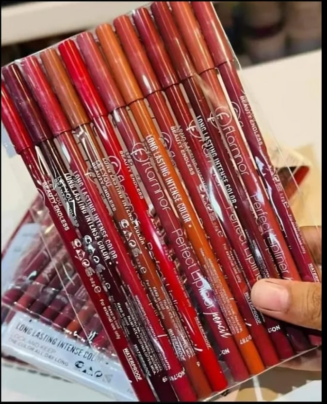 Flamnnor Long Lasting Lip Liner Pencil Set – 12 Pcs