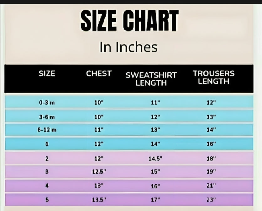 Color Block Kids Tracksuit with Hoodie